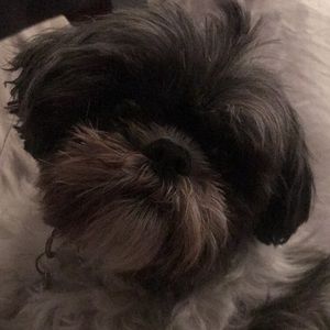 Meet your Posher, Emma